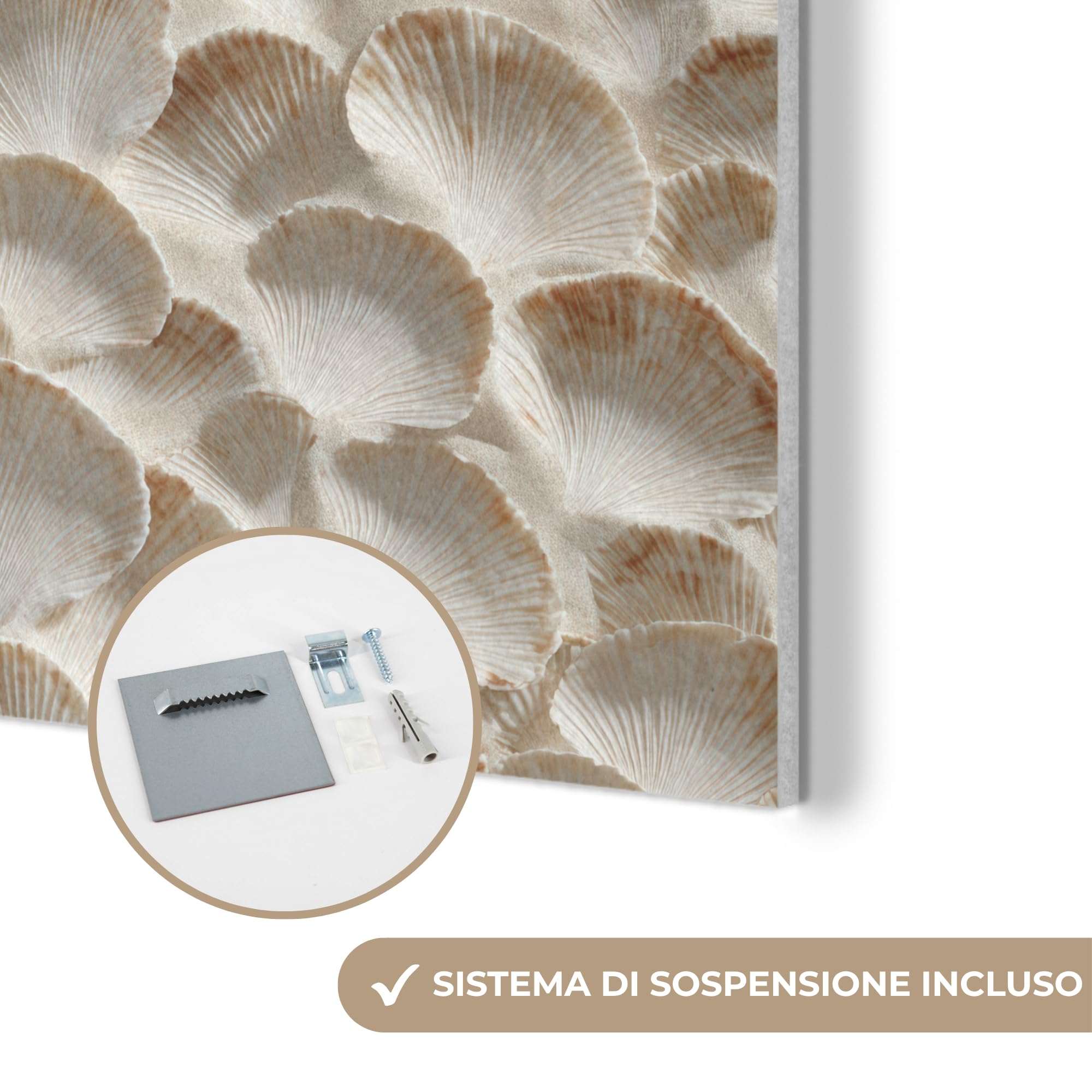 MuchoWow© "MuchoWow© Pannelli Fonoassorbenti Parete Acustici Insonorizzanti | 70x100 cm - Pannello Fonoassorbente Design Isolante Acustico Fonoisolanti Insonorizzazione Stanza Conchiglie - Forma a