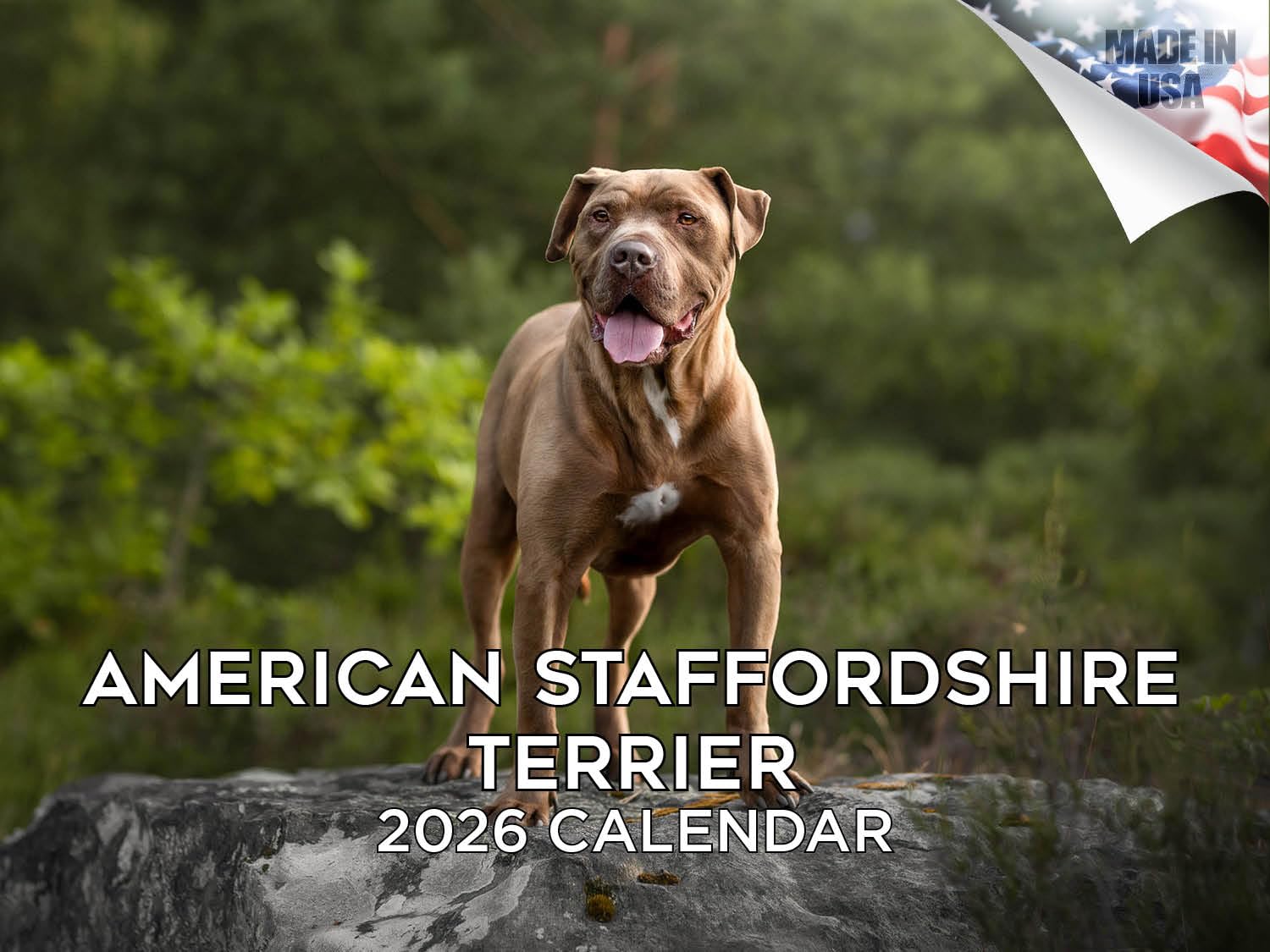 2024 2025 American Staffordshire Terrier Calendar - Dog Breed Monthly Wall Calendar - 12 x 18 Open - Thick No-Bleed Paper - Giftable - Academic Teacher's Planner Calendar Organizing & Planning - Made