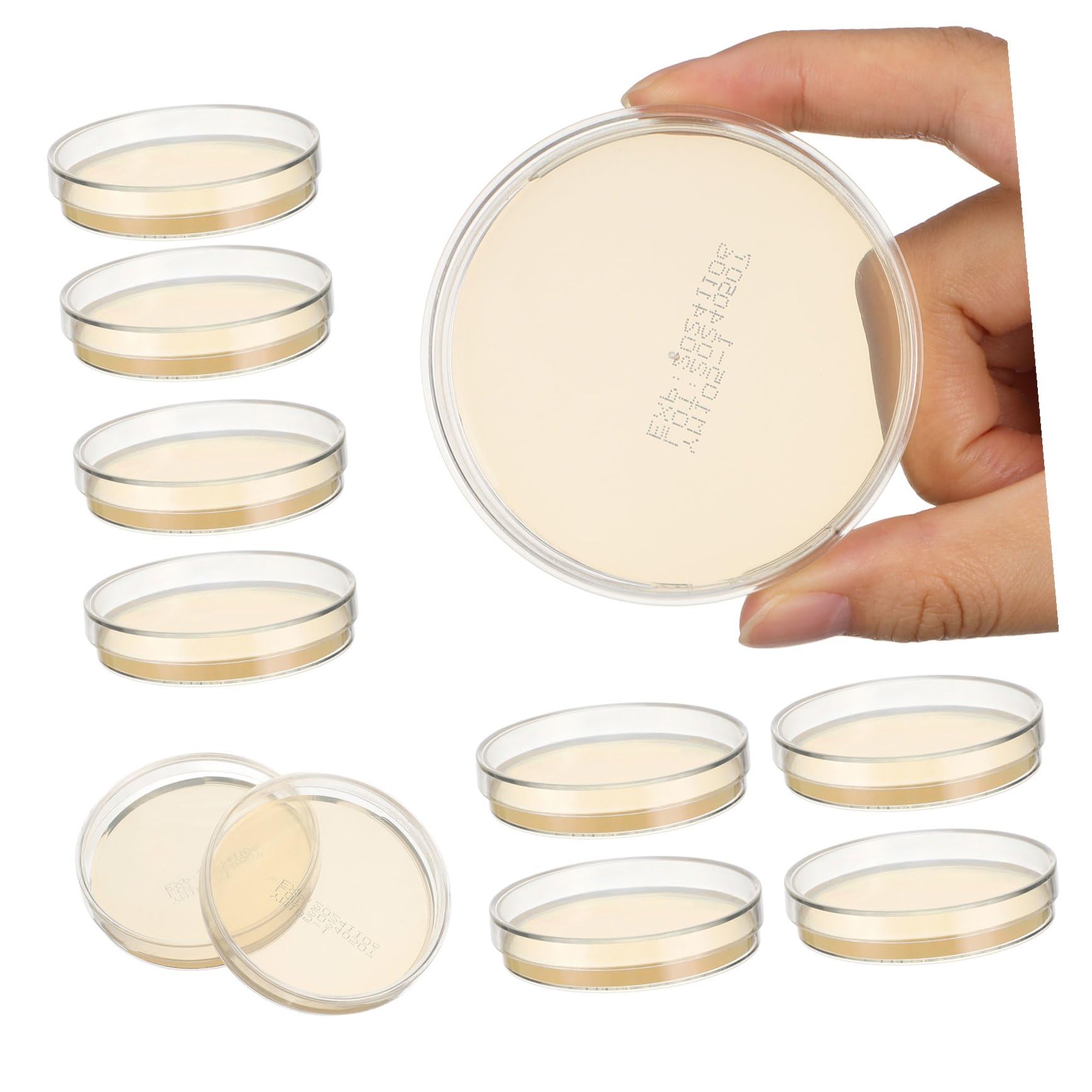 Plaques D’agar pour Laboratoire 7cm, Lot de 10, Prêtes