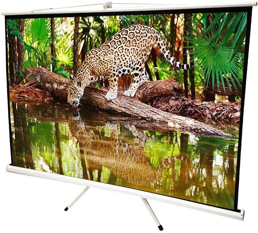 schermo per proiettore roll down