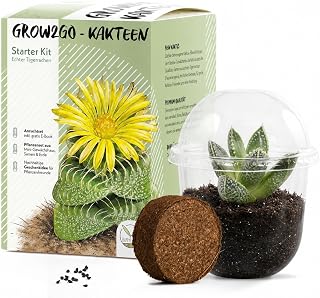 GROW2GO Kakteen Starter Kit Anzuchtset - Pflanzset aus Mini-Gewächshaus, Kaktus Samen & Erde - nachhaltige Geschenkidee für Pflanzenfreunde (Echter Tigerrachen)