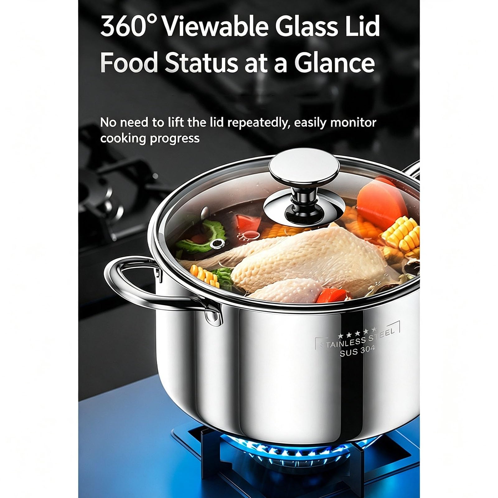 2-stöckiger Dampfgartopf aus Edelstahl mit Glasdeckel | Großer Suppentopf, kompatibel mit Induktion und Gas, for Kochen mit der Familie(22cm)