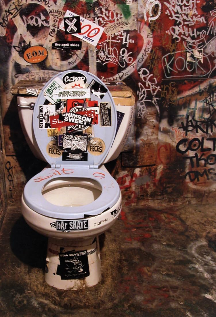CBGB Poster, Punk Rock Music Venue, Bathroom, Toilet, New York City, Wall Art