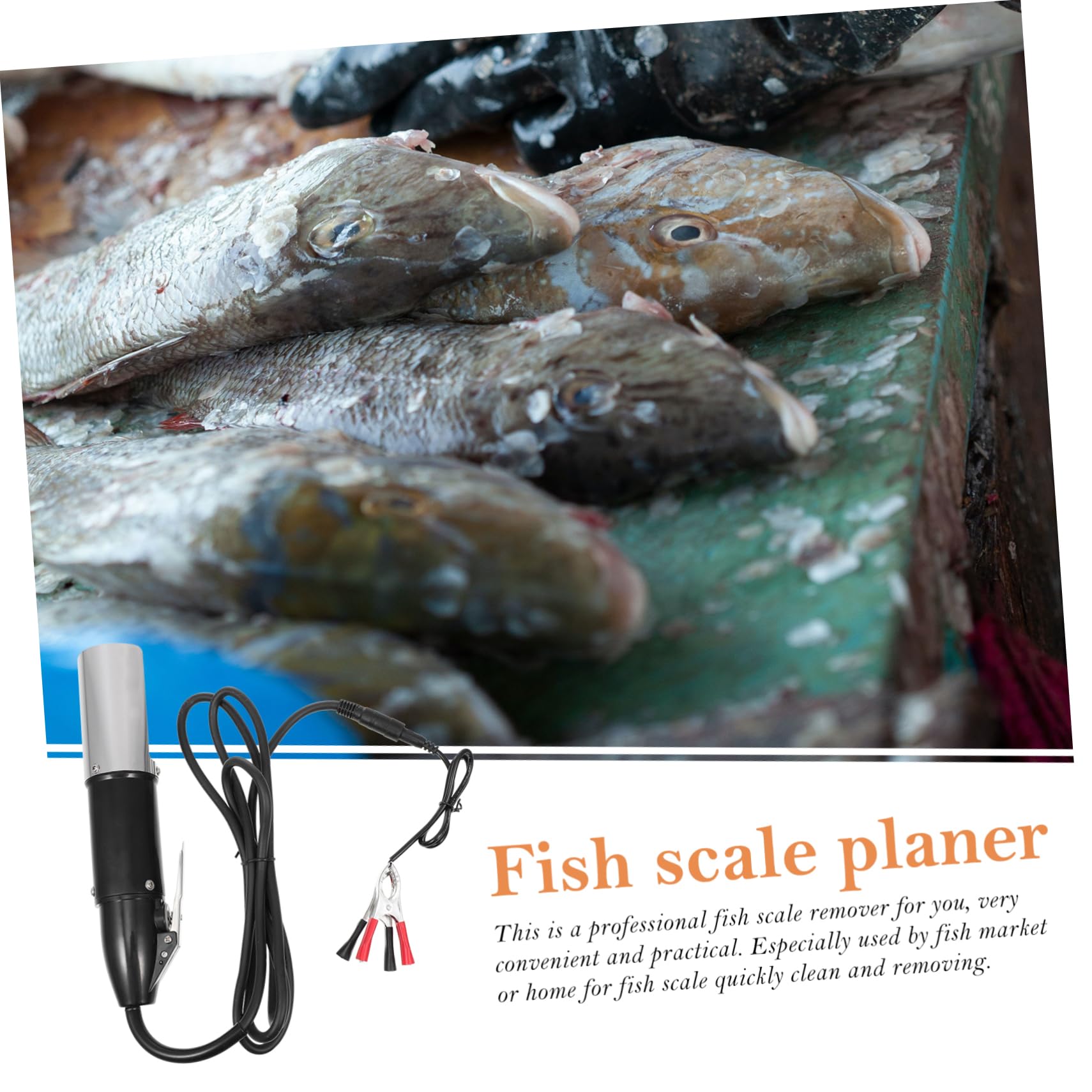 Ciieeo Raspador Eléctrico de Escamas de Pescado Portátil Motor de Acero y Batería de Litio, Fácil de Limpiar Dañar la Textura del Pescado, Adecuado para Carpas y Peces de Agua Dulce