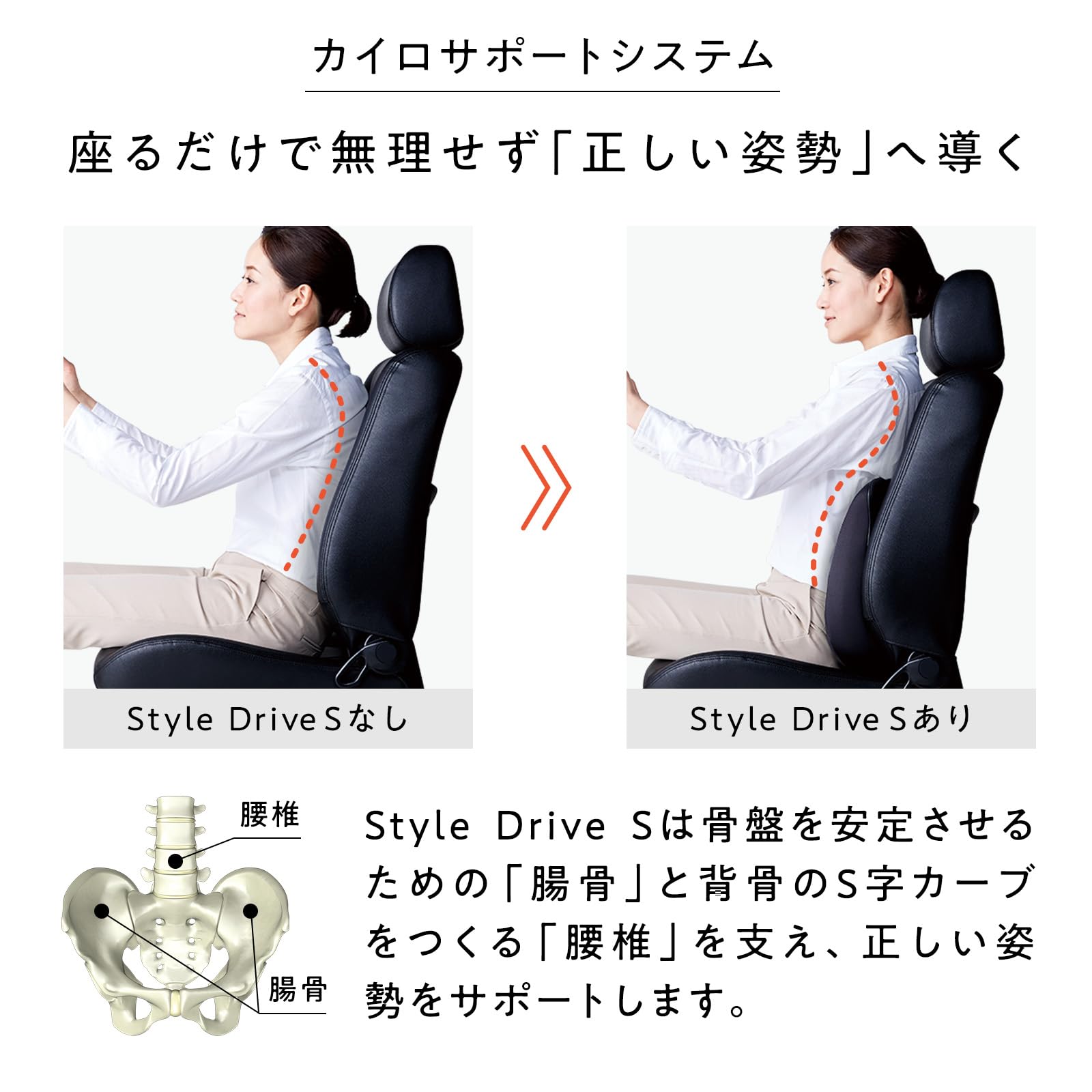 Amazon.co.jp: スタイル ドライブ 限定セット MTG エムティージー 車