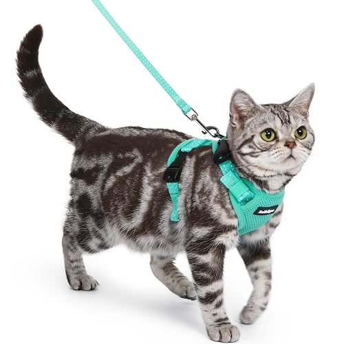 rabbitgoo Cat Harness and Leash, Easy-on (Green)