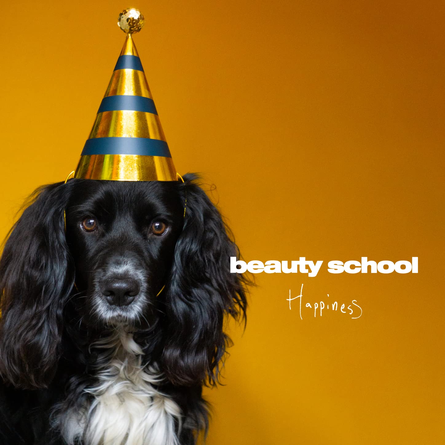 Beauty School