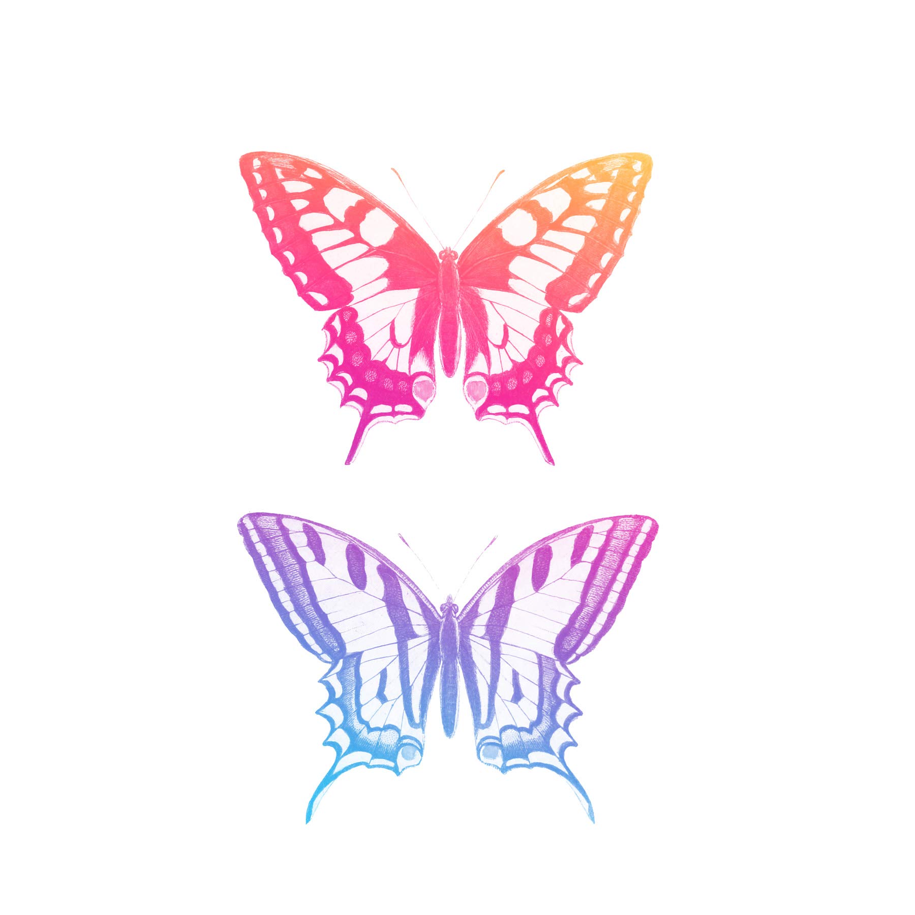 Wee Blue Coo Colourful Gradient Butteflies Art Print Poster Wall Decor