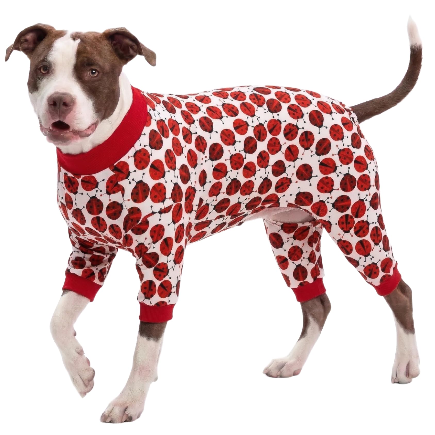 Grenouillère Pitbull LovinPet vêtements couverture complète chien