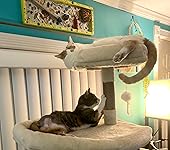 Review Image by Fen Chicken Fosters