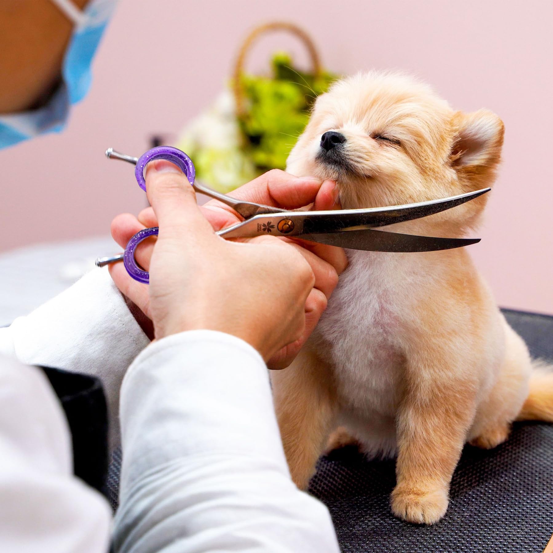 12 Stück Scheren, Fingerringe, Daumeneinsätze, Griffe, Schutz, Scherenring, Schere, Fingerzubehör, Silikon, bunte Hundepflegeschere zum Schneiden von Hundehaaren