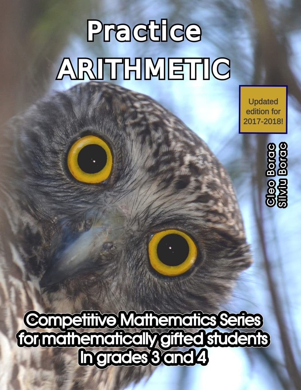 Practice Arithmetic: Level 2 (ages 9 to 11) (Competitive Mathematics for Gifted Students)