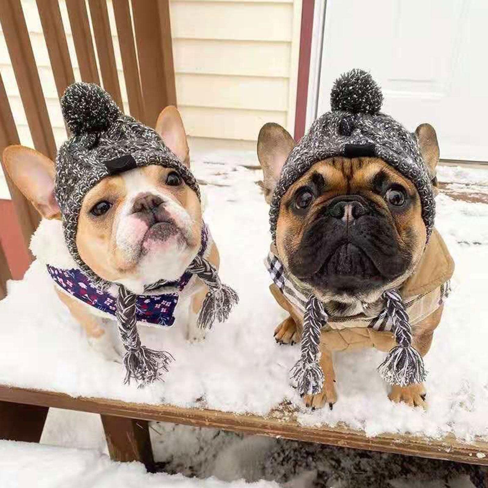 Weihnachtsmütze Für Hunde – Rote Wollmütze Mit Bommel, Wärmend, Verstellbar, Für Kleine Hunde & Katzen
