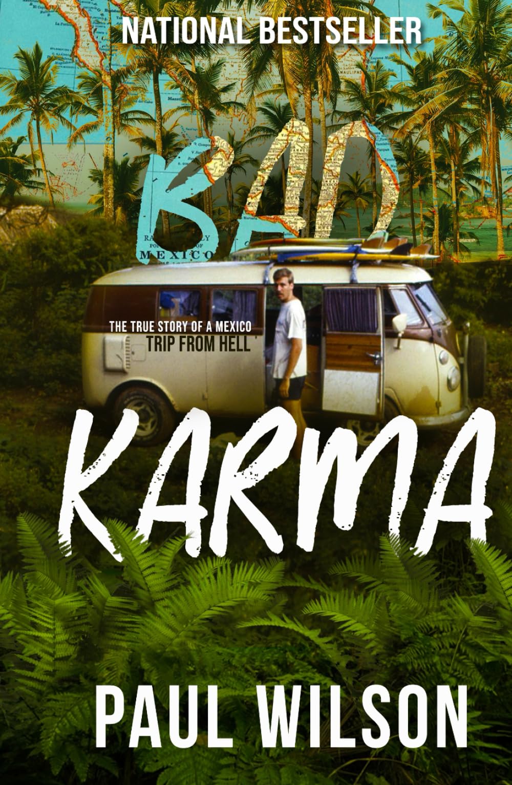 Paul Wilson Bad Karma: The True Story of a Mexico Trip from Hell Hardcover – Illustrated, 9 October 2019