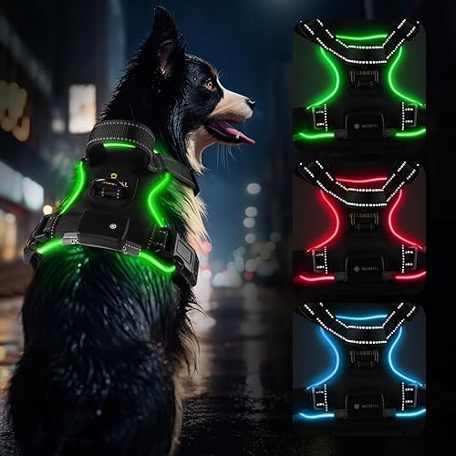 MASBRILL Arnés para perro con luz LED, sin tirones, arnés recargable con luz para perro para caminar por la noche, chaleco ajustable brillante para