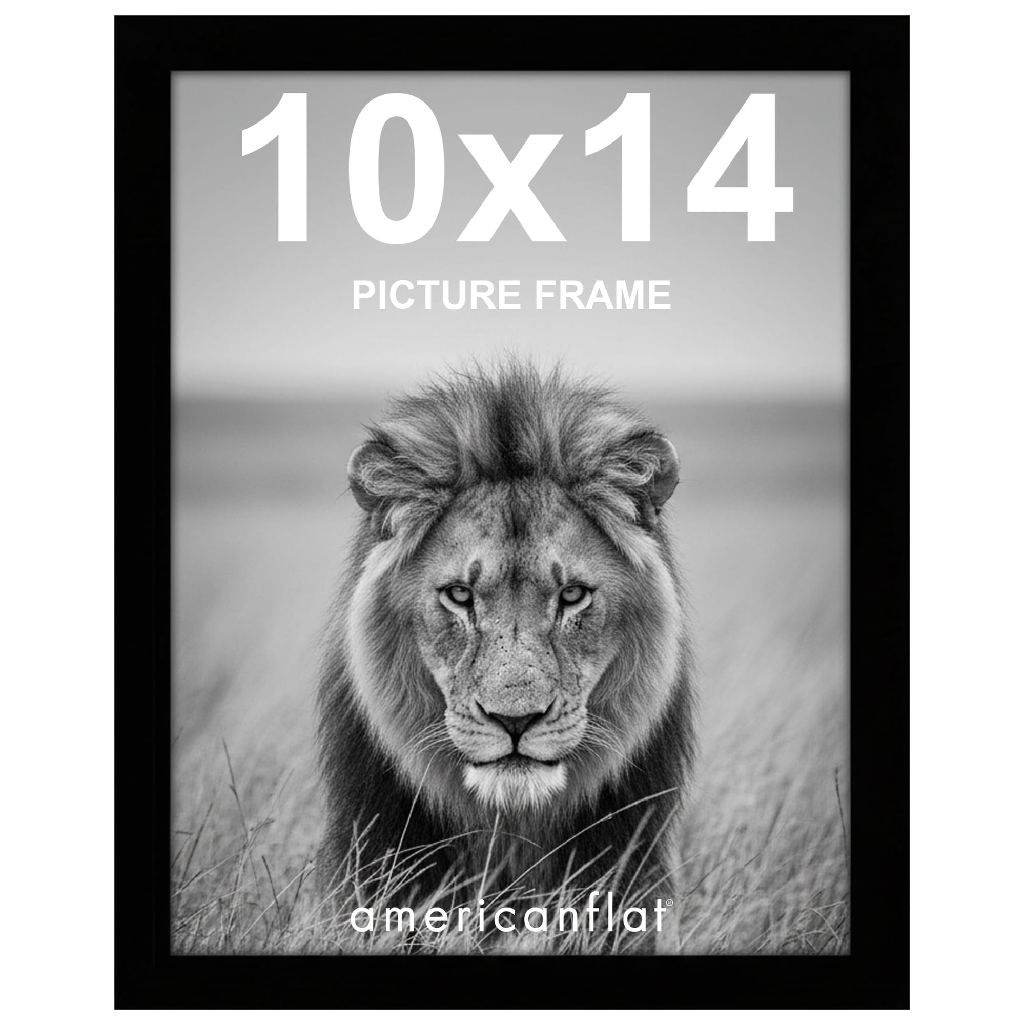 Americanflat 10x14 Picture Frame with Shatter-Resistant Glass