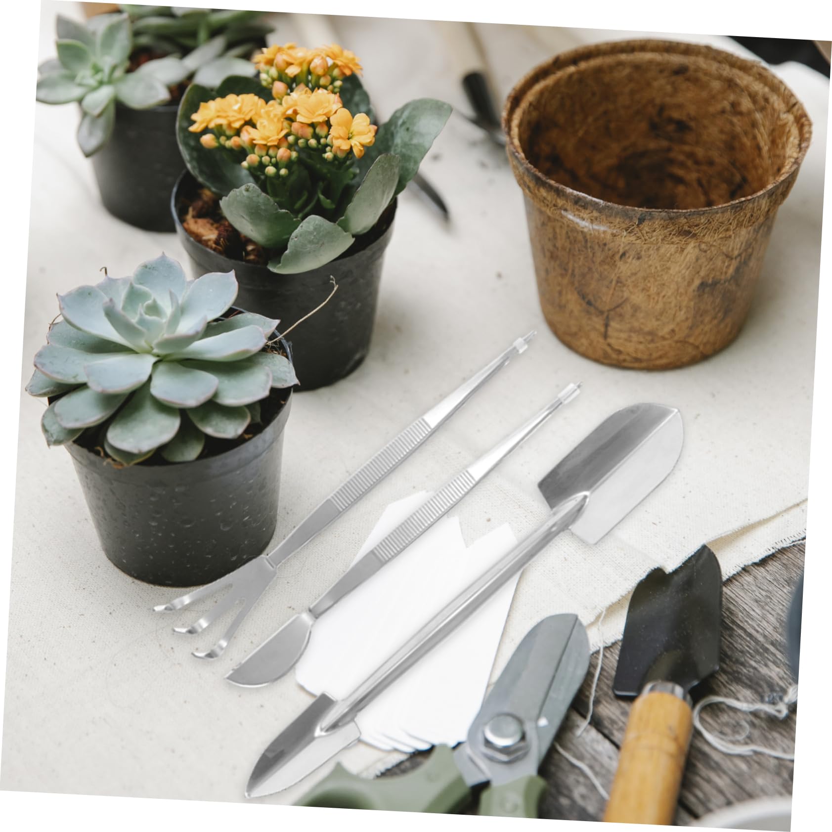Toyvian 3sätze Präzisionswerkzeugset Für Bonsai -zangen Rake Und Doppelseitiger Für Pflanzenpflege Und Terraristik Für Garten Und Innenbereich