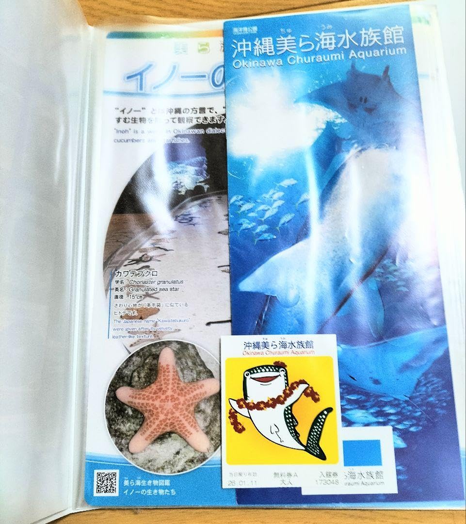 * うみさま専用ページ* みぃーさま♡専用ページ miさま 専用です みいさま 専用 mieさん専用