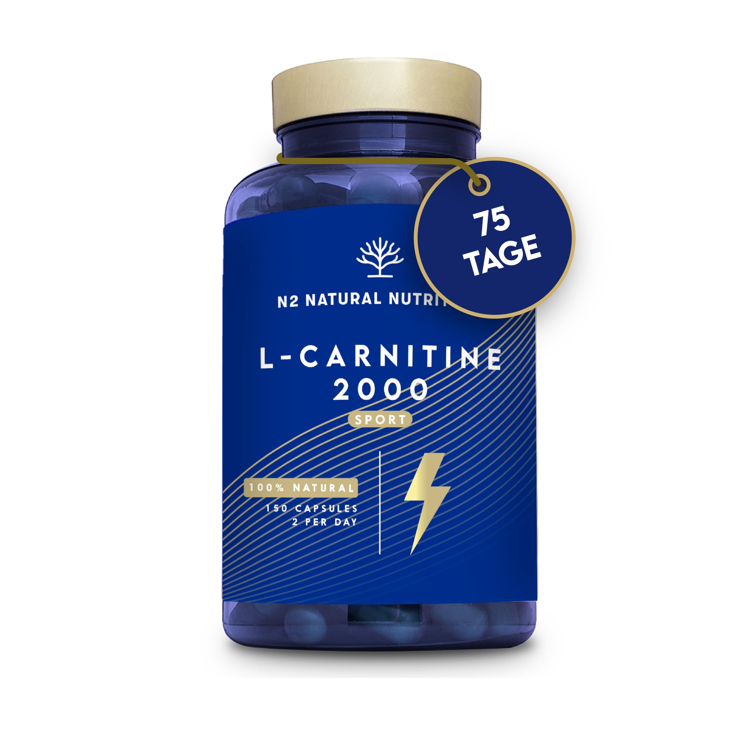 L Carnitine Capsules High Dose 2000 mg per Daily Serving 150 Capsules 75  Days Pre Workout Fitness L-Carnitine Laboratory Tested EU N2 Natural 
