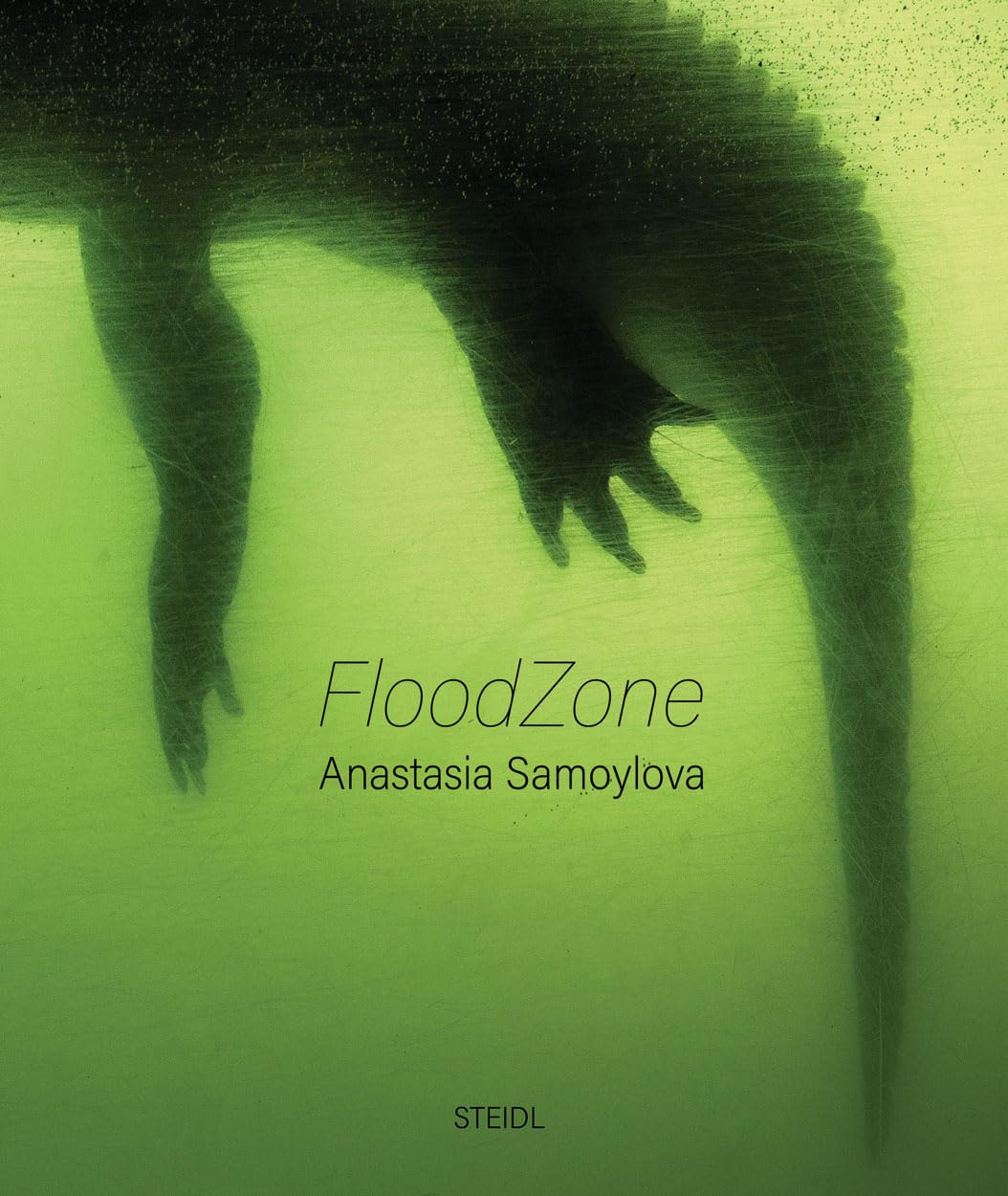 Anastasia Samoylova: FloodZone [hardcover] Samoylova, Anastasia [Apr 07, 2022]