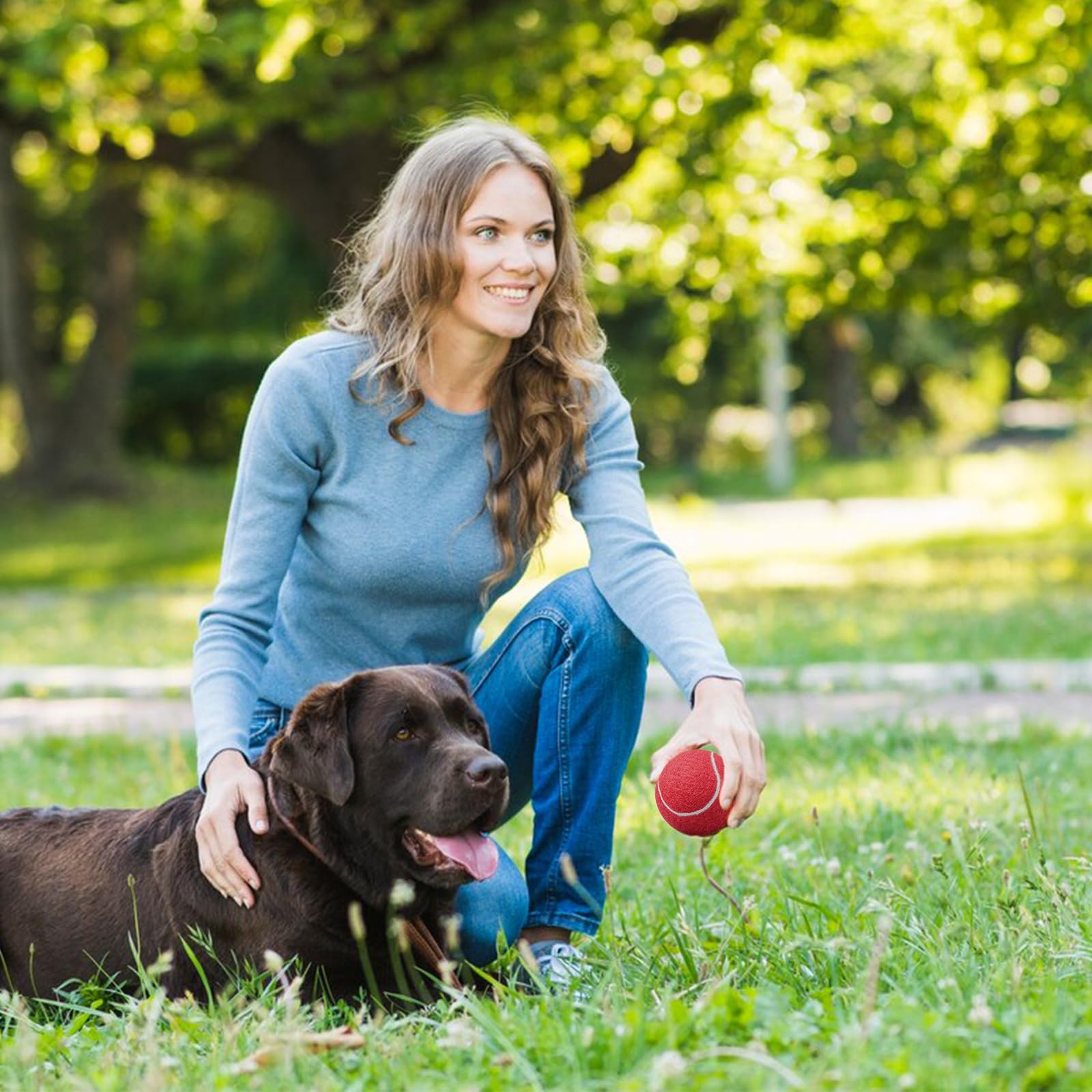 24 Stück Hunde-Tennisbälle, 6 cm, bunt, für Apportieren und Training | Farbiges Ballset für Wurfspiele, interaktives Spielen und tägliche Beschäftigung mit Hunden im Garten, Park oder Zuhause