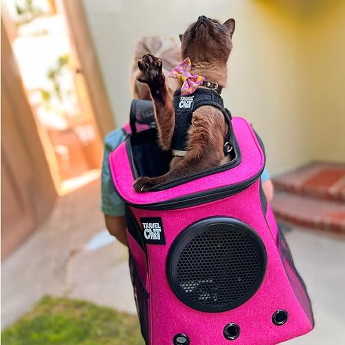 Miniatura 7 de Fat Cat Mochila Transportadora - Transportadora para Gatos Aprobada por Aerolíneas con Burbuja de Cápsula Espacial para Gatos Pequeños, Gatitos -