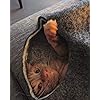 Product Photo 7