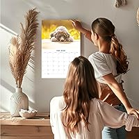 Vista 1317 de Razas de Perros 2017