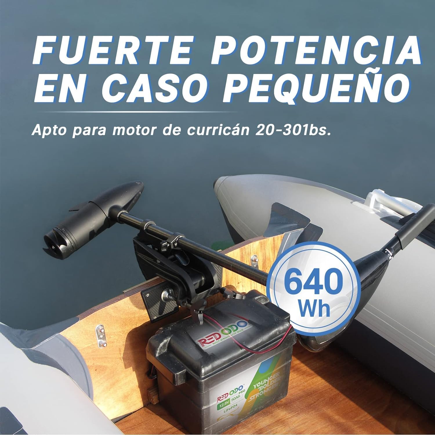 Redodo 12V 50Ah Pro(1 Pack) Batería LiFePO4 640Wh Batería Litio con BMS 50A Carga Rápida 10 Años de Vida Util para Motor de Pesca/Caravanas/Sistemas Solares y Outdoor
