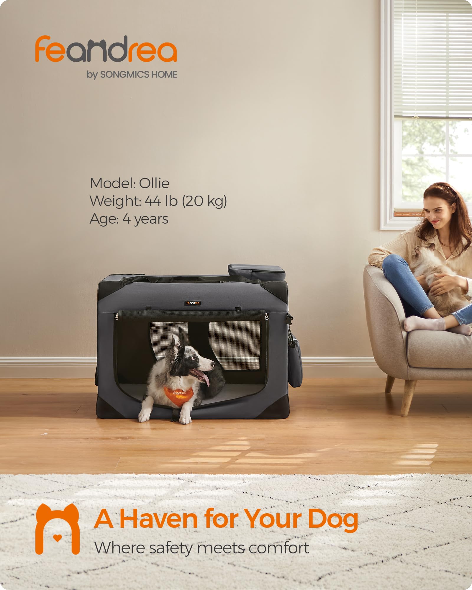 https://m.media-amazon.com/images/I/71Rh12jEhvL.jpg