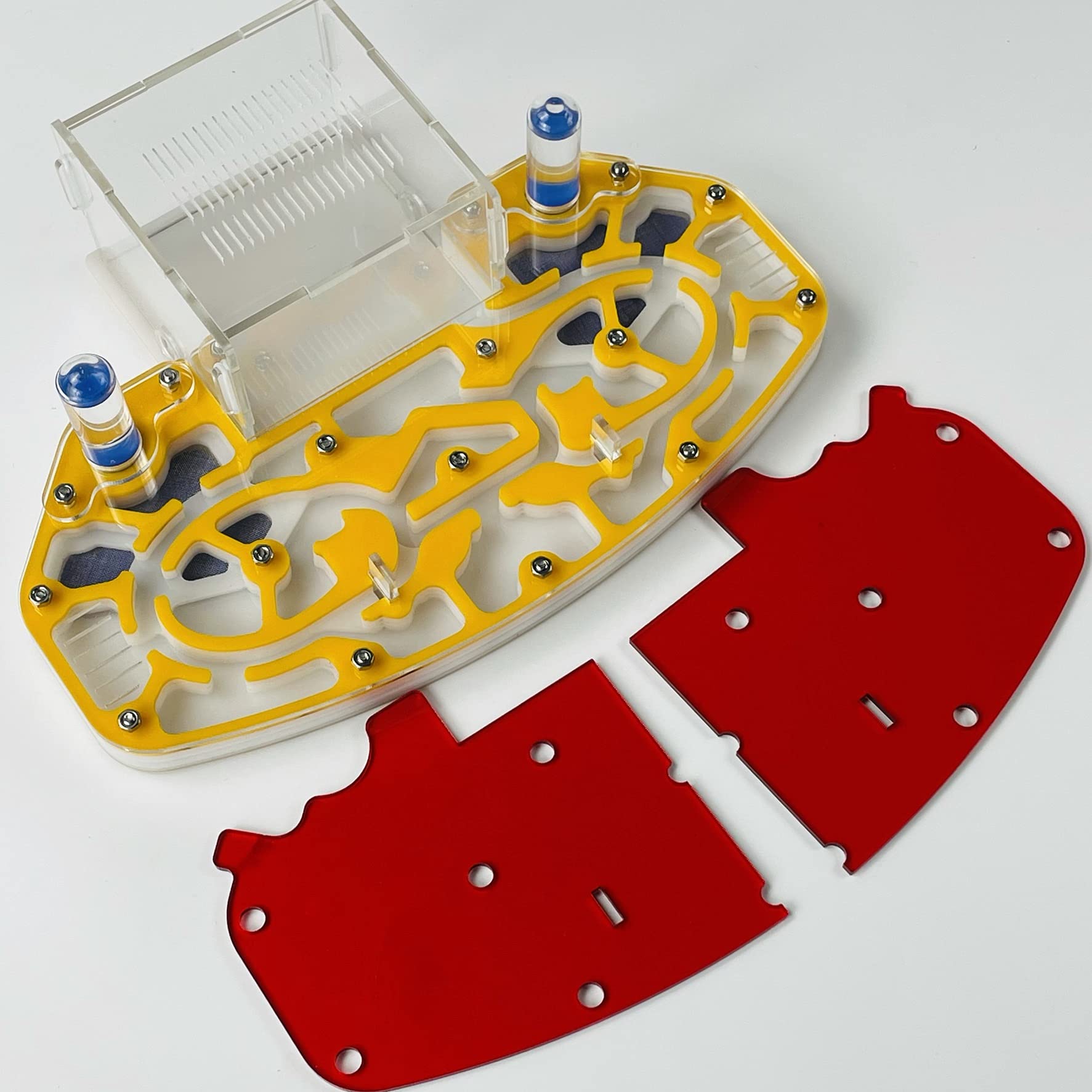 Große Größe 24 * 18cm Arylisches AMEISENNEST, Ameisenfarm, Ameisenlebensraum, FORMICARIUM MIT EINGEBAUTER Arena „PLATTFORM“ (Blue) - 5