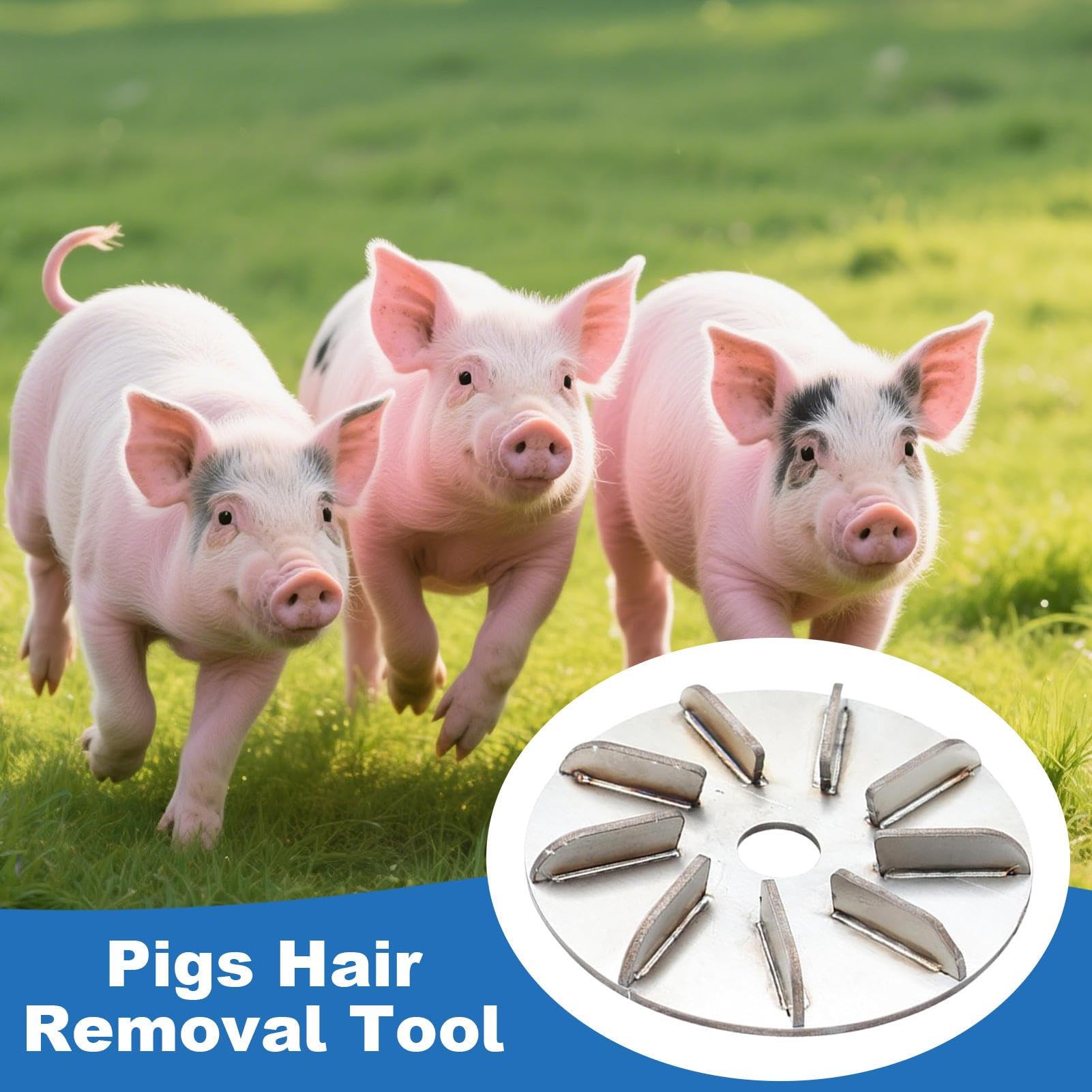 Labor-Saving Pig Hair Remover | 9 Gears Stainless Steel Pigs Hairr Scraper | Multi Gear High Efficient Grooming Tool for Livestock Roosters Slaughter Factory Hen Cows Sheep