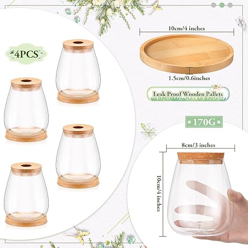 Miniatura 2 de 4 piezas de plantas de escritorio de terrario de propagación de plantas de propagación, jarrón de propagación, tarros de propagación, contenedores