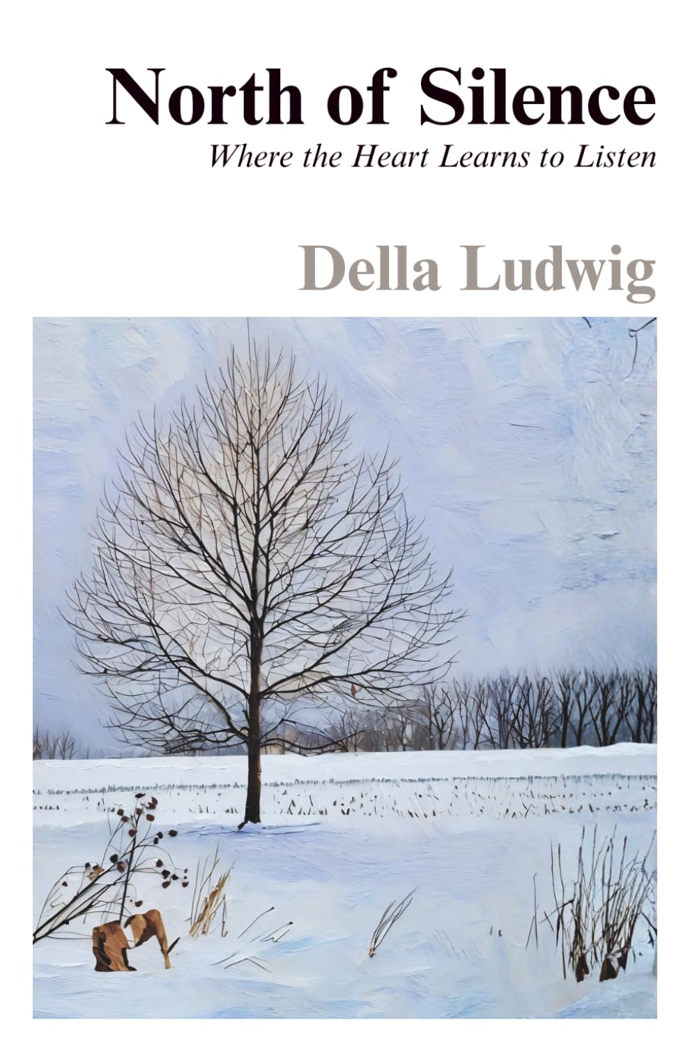 North of Silence: Where the Heart Learns to Listen