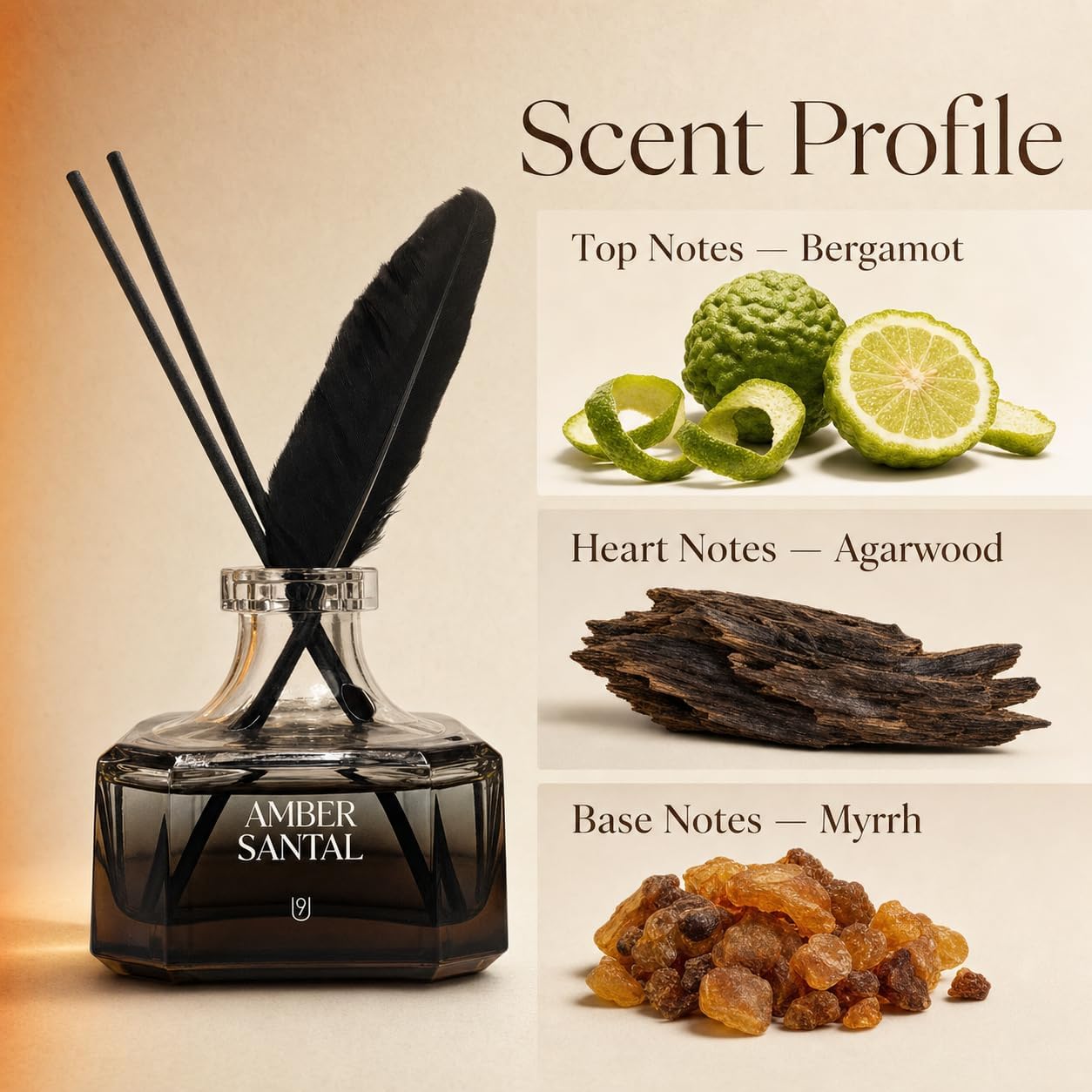 Feathered Ink Radiance Moroccan Amber & Sandalwood Reed Diffuser, 3.4 Fl Oz – Earthy Woody Home Fragrance with Patchouli, Heliotrope, Bergamot & Eucalyptus