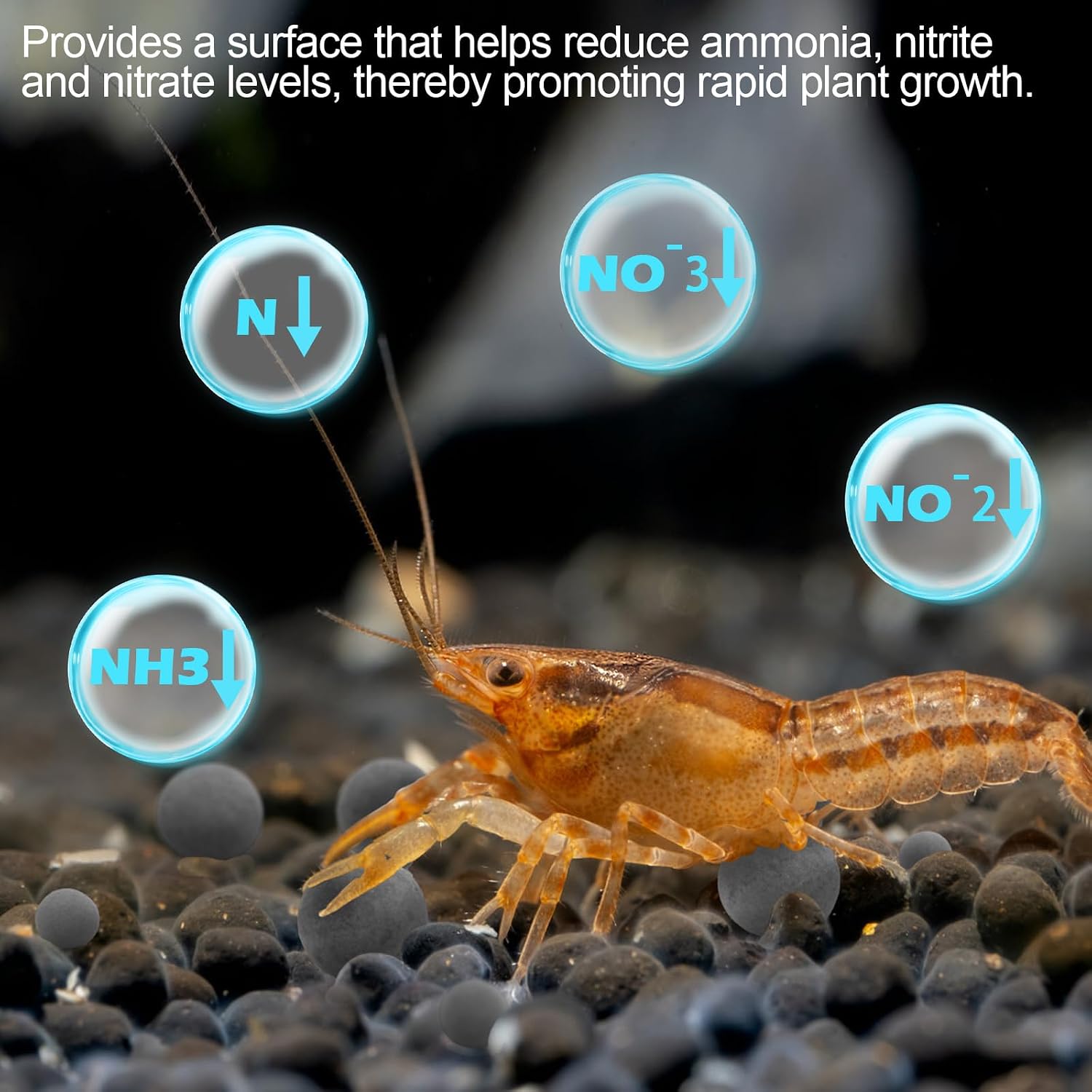 Shrimp Tourmaline 10 Pcs Rich in Calcium 30 Elements for Health,Color, Molt | Slowly dissolves over time for extended release of minerals. Simply add directly to your tank or filter compartment