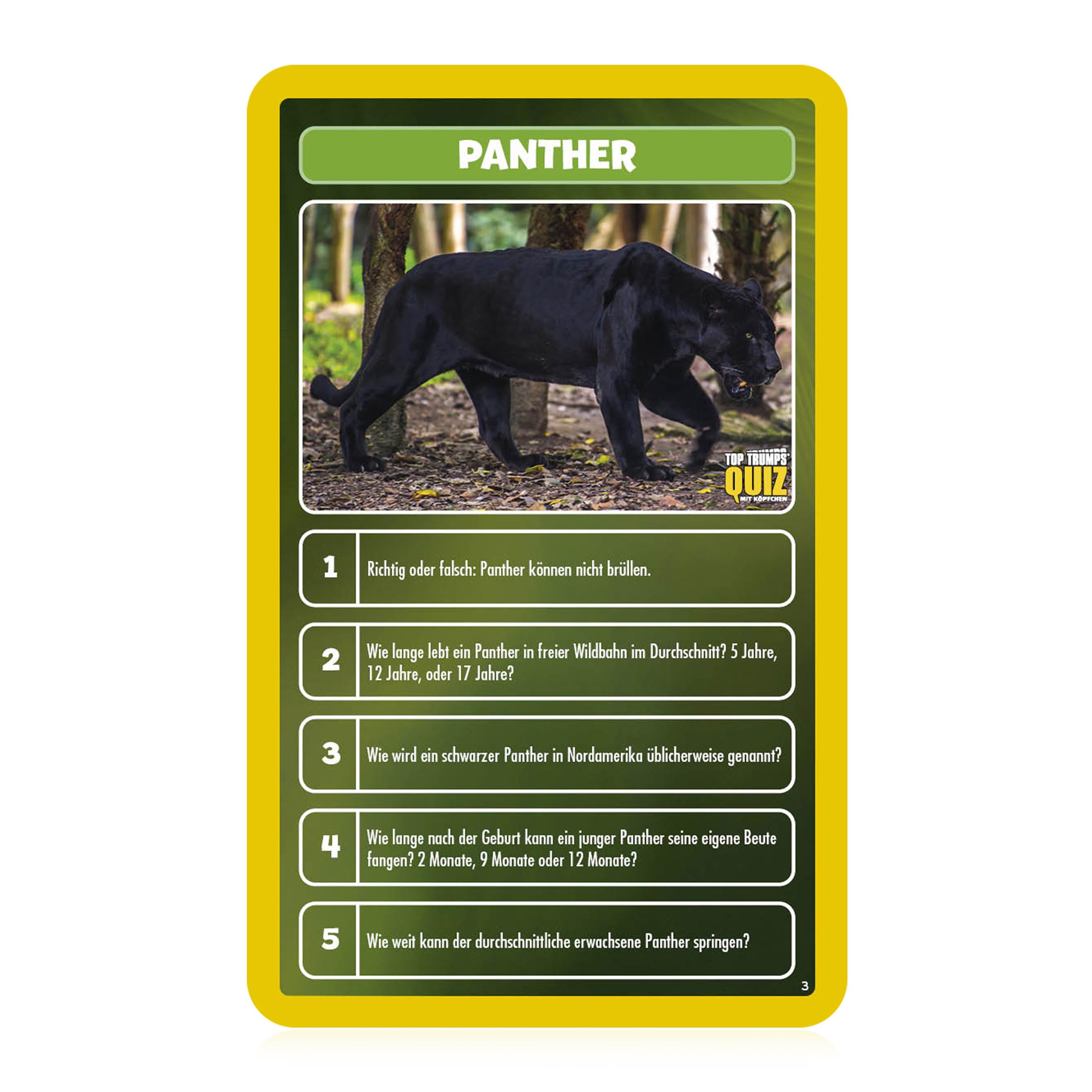 Winning Moves Top Trumps Quiz – 90: Gioco Di Carte A Quiz Sugli Anni '90 Per Adulti E Ragazzi (8+)