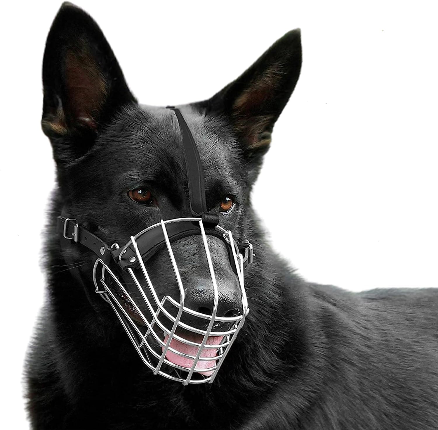 See full amazon price history chart for D&C PAWS Dog Stainless Steel Mouth Cover Muzzle/Bite Guard with Adjustable Leather Strap Muzzle Ideal for Stopping Biting, Barking Dogs and Puppies (Black, Large) D&C PAWS Dog Stainless Steel Mouth Cover Muzzle/Bite Guard with Adjustable Leather Strap Muzzle Ideal for Stopping Biting, Barking Dogs and Puppies (Black, Large) (B0CGD9QR2S) Amazon Price History, Amazon Price Tracker