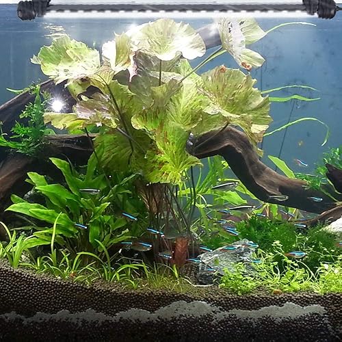 Miniatura 6 de S SMIFUL Luz LED para acuario, luces de pecera de cristal bajo el agua, luces LED brillantes IP68, luces sumergibles impermeables IP68, barra de