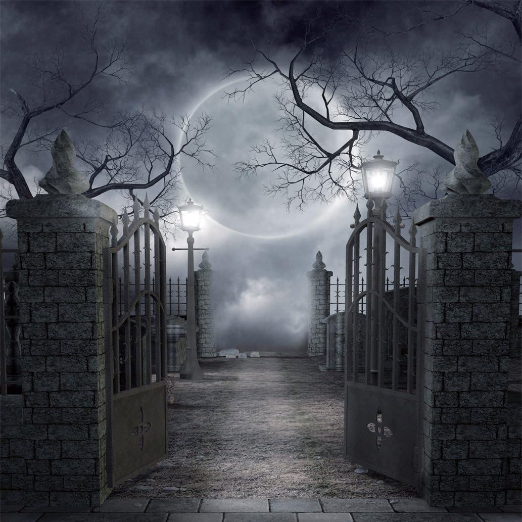 SJOLOON Halloween Backdrop Vinyl Photo Background Halloween Photography Backdrop Moon Night Backdrop Studio Props 9382(10x10FT)