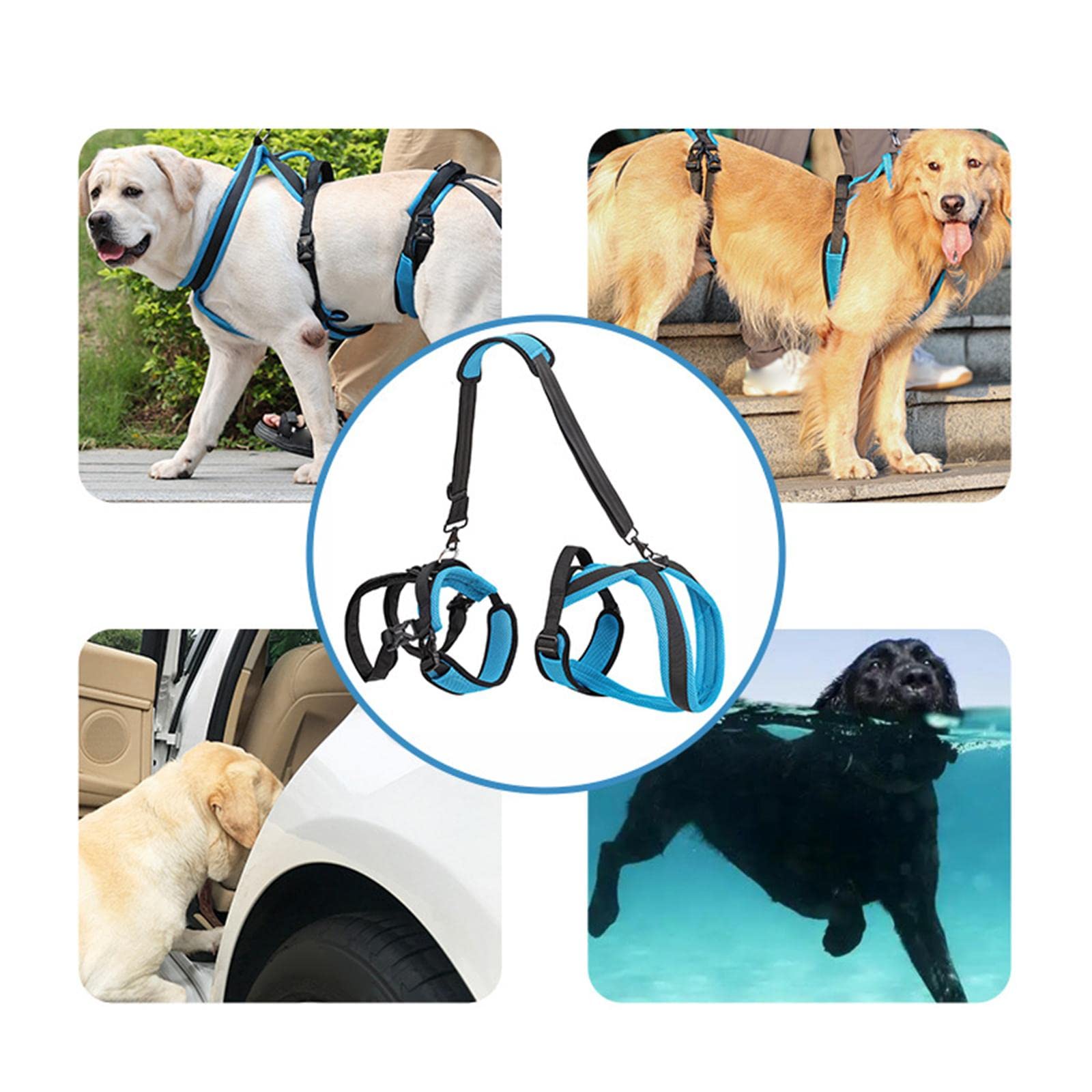 Arnés de Soporte Acolchado para Perros con Asa Y Correa de Elevación, Ayuda para Perros Mayores, Caminar, M