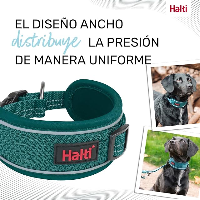 Foto 6 de 6 de Collar para Perros Halti Anatomía - Tamaño XS, Verde Azulado