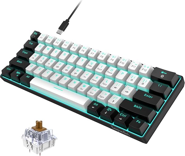 Die Snpurdiri 60% mechanische Tastatur bietet ein kompaktes Design für Gaming und Produktivität.