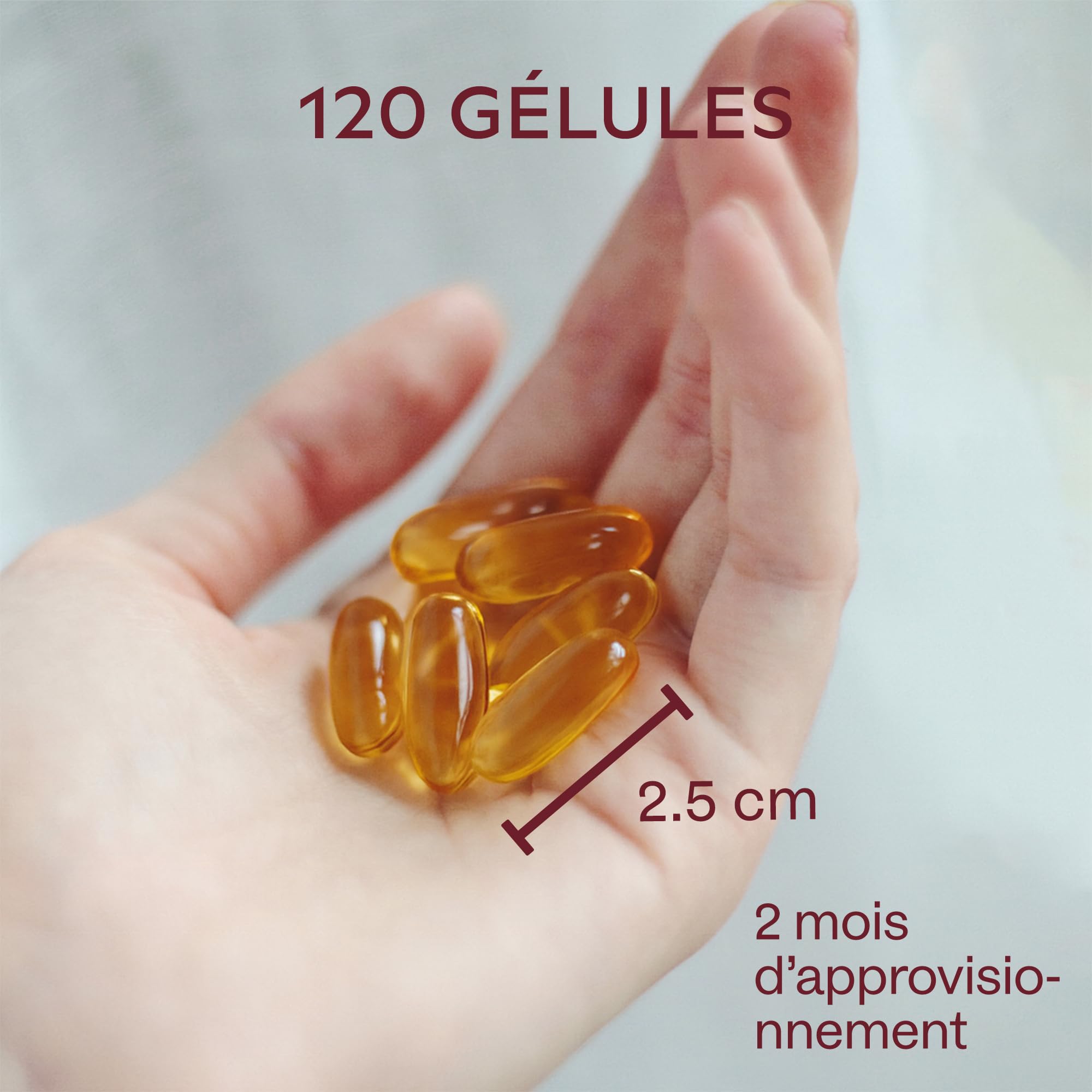 Omega 3 DHA EPA Huile de Poisson Sauvage 2000mg: 1000mg EPA + 500mg DHA par dose (2 gélules) - Complement Alimentaire Omega3 Fish Oil Concentration Pure et Forte en Oméga 3 et Vitamine E - 120 Gélules