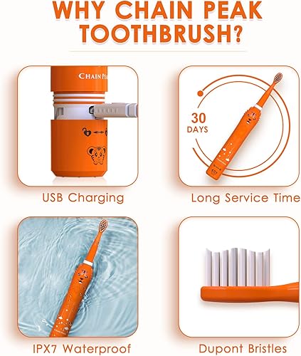 Miniatura 7 de Cepillo de dientes eléctrico de dinosaurio, cepillo de dientes sónico para niños, niños pequeños y niñas de 3 a 12 años con recordatorio de 30,