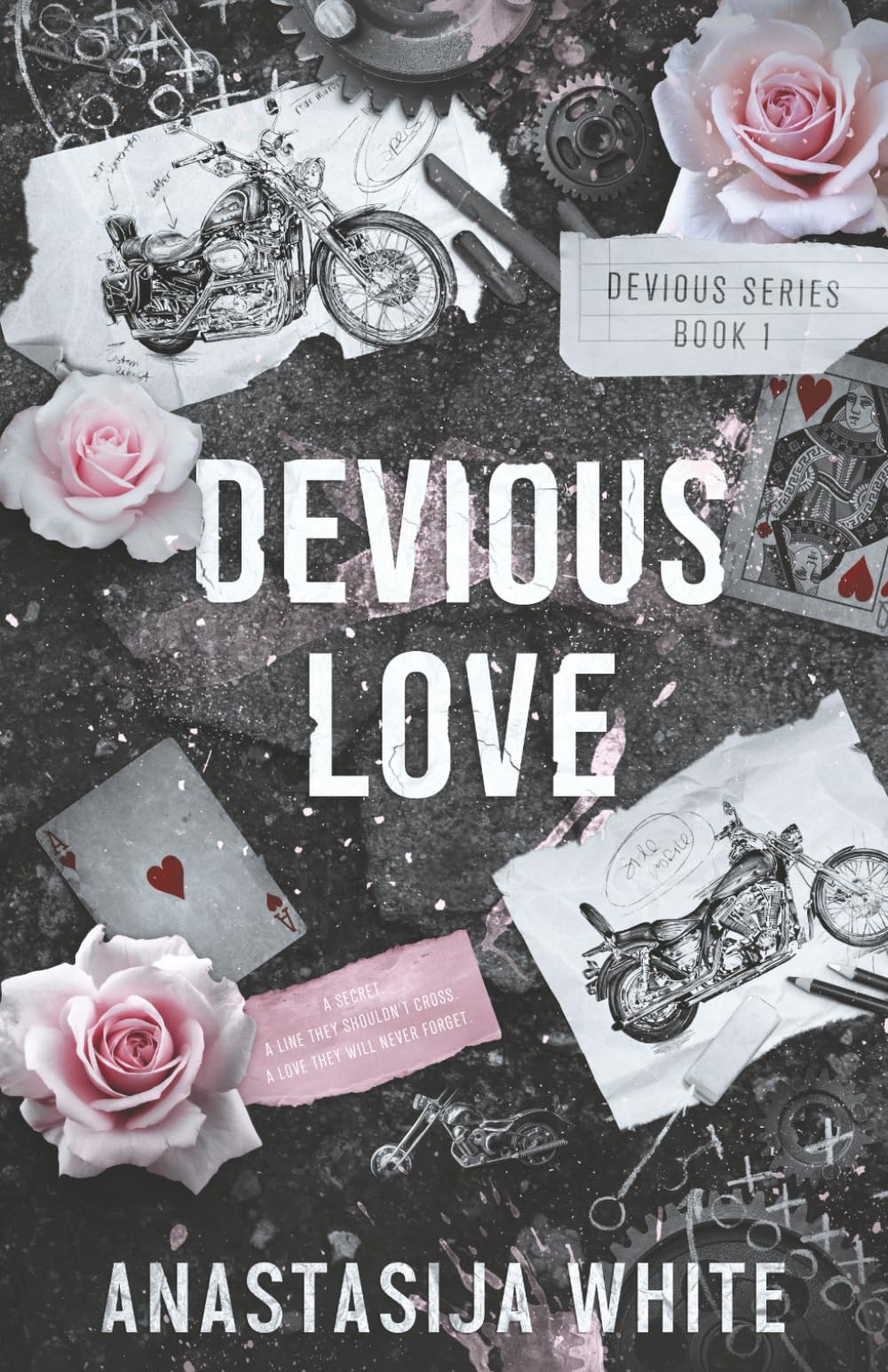 Devious Love: A Stepbrother Romance (Devious Series)