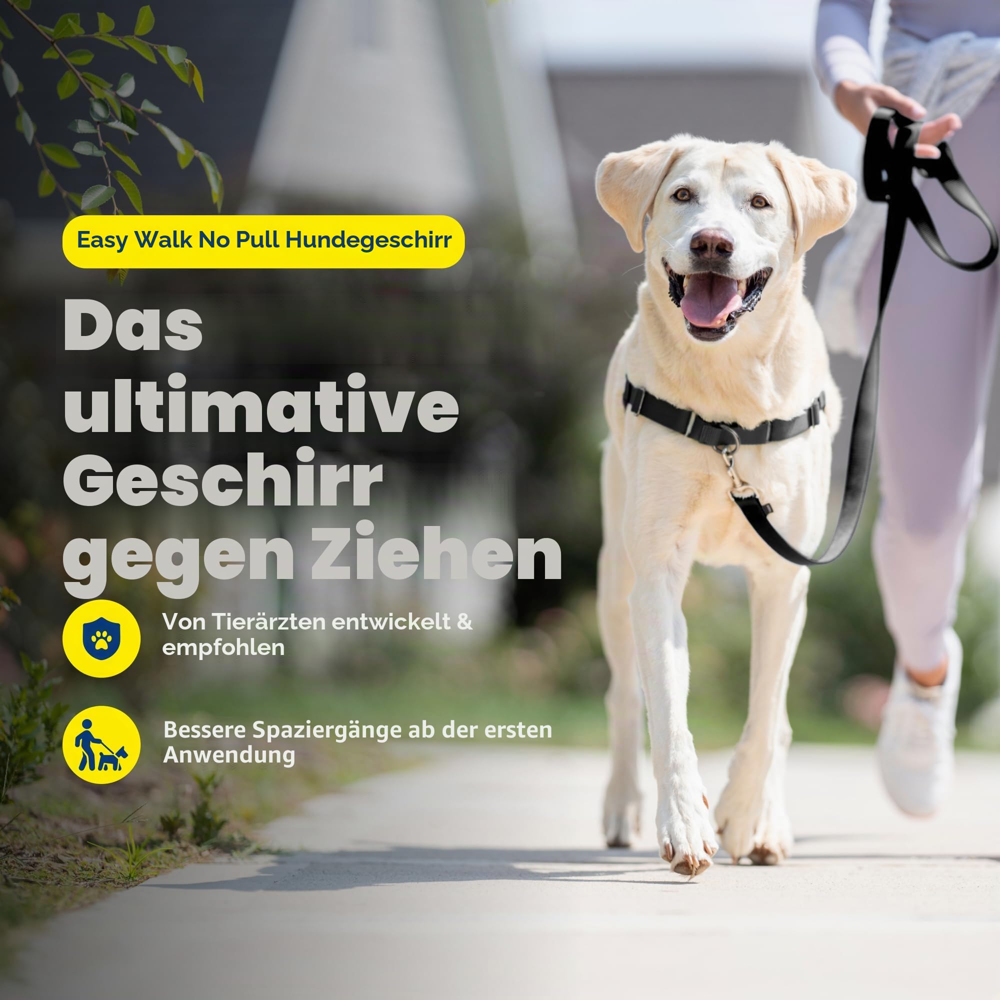 PetSafe, Easy Walk Hundegeschirr, das ultimative Geschirr gegen Ziehen bei Spaziergängen, übernimm die Kontrolle und lehre EIN besseres Leinenverhalten, Large, Dunkelgrau/Schwarz