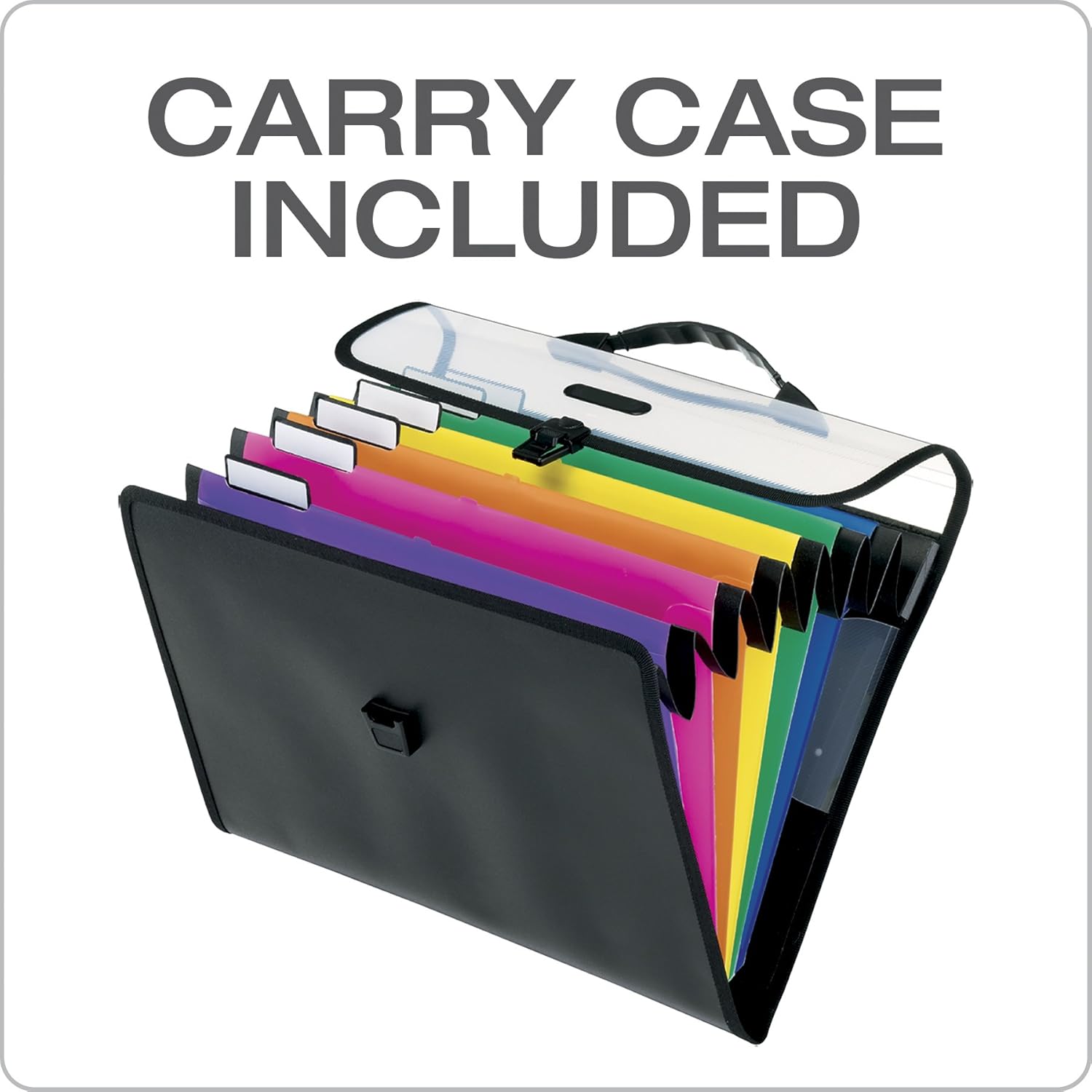 Pendaflex Hanging Organizer, All-in-1 Wall Organizer/Pocket Chart, Black with Bright Color Folders, Poly Carry Case, Letter Size (52891), Black/Assorted : Hanging Wall Files : Office Products