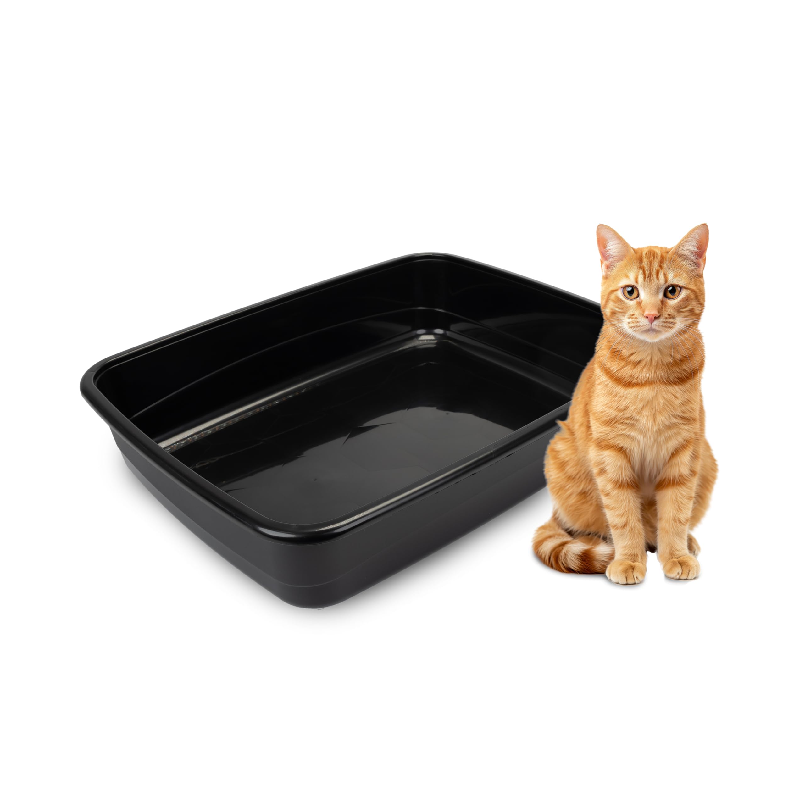 Ferplast Lettiera Gatto, Toilette per Gatti Grandi, in Plastica con Bordi Alti, Facile e Veloce da Pulire L 49,5 x W 64,5 x H 14,5 cm, Nero