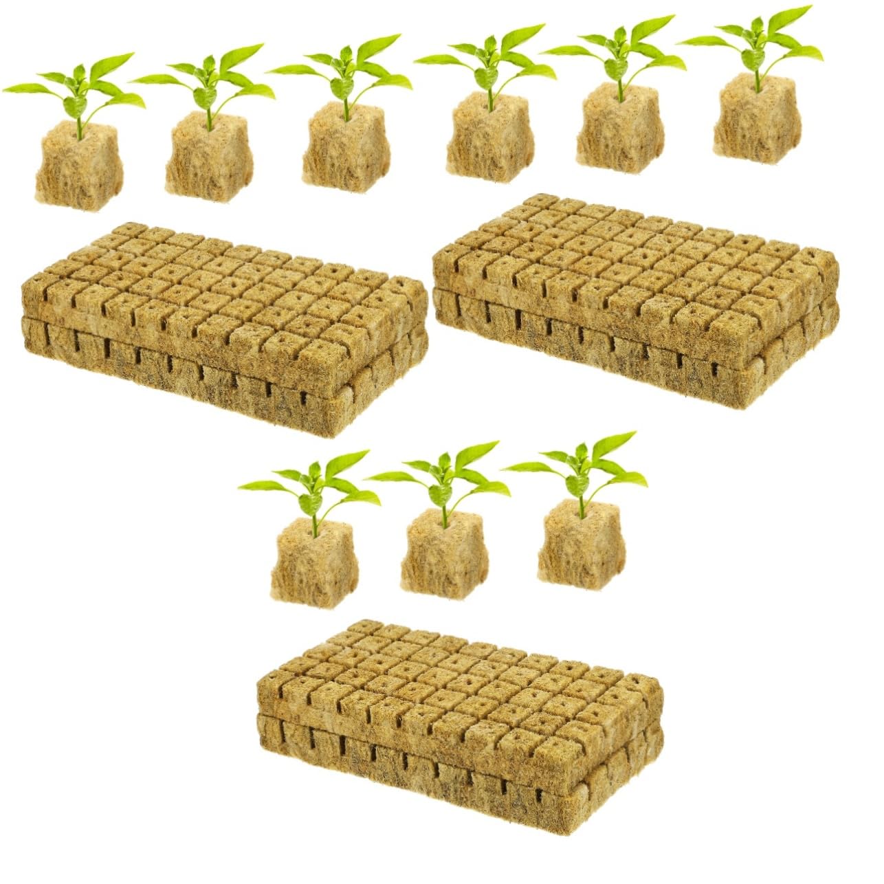 Sosoport 3 Juegos Bloques De Tierra para Propagación De Plantas Cubos para Plantas Cubos De Tierra os para Plantación Hidropónica Tapones De Cultivo os para Iniciar 100 Uds * 3